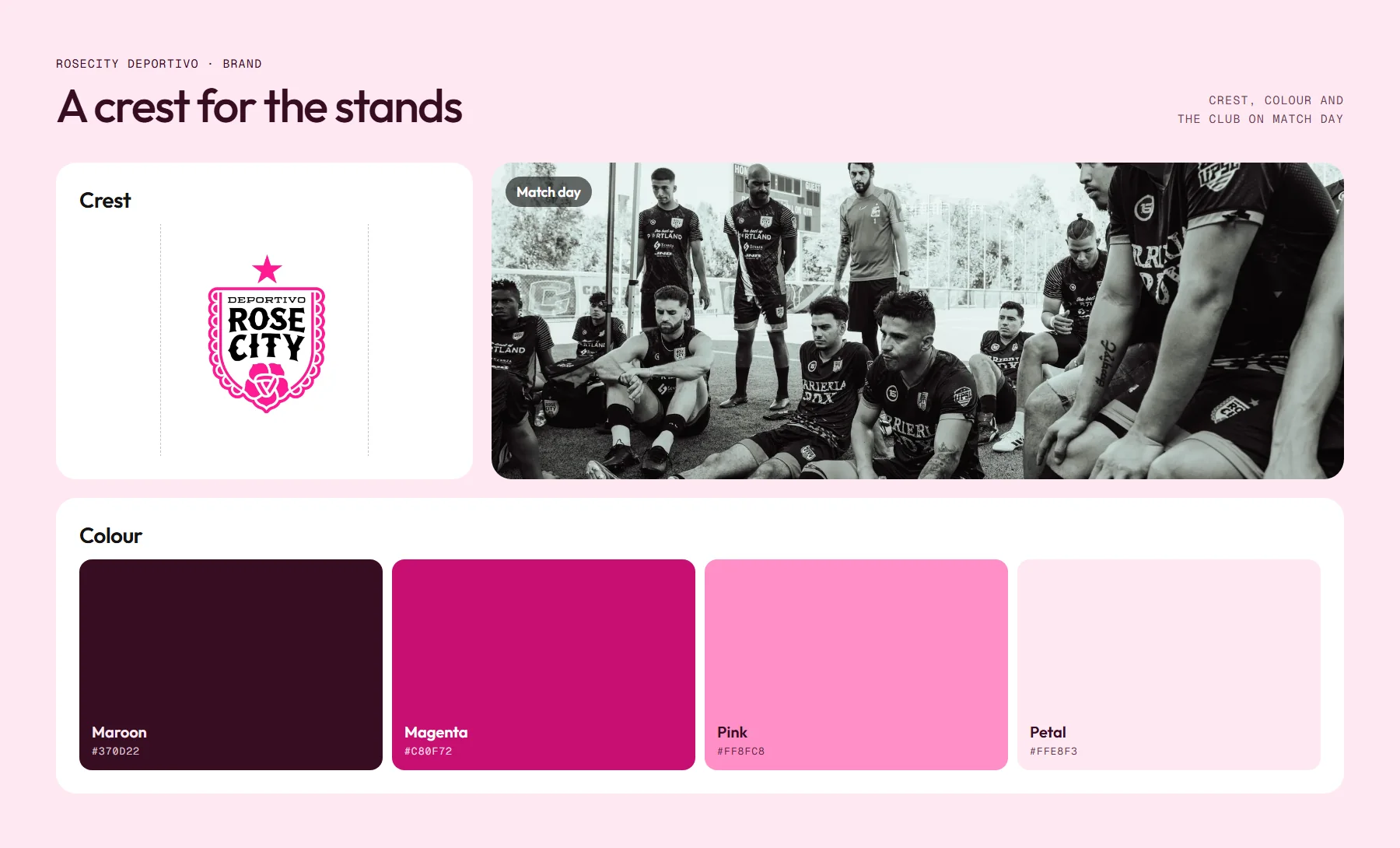 Brand board: the crest, match day photography and four colours