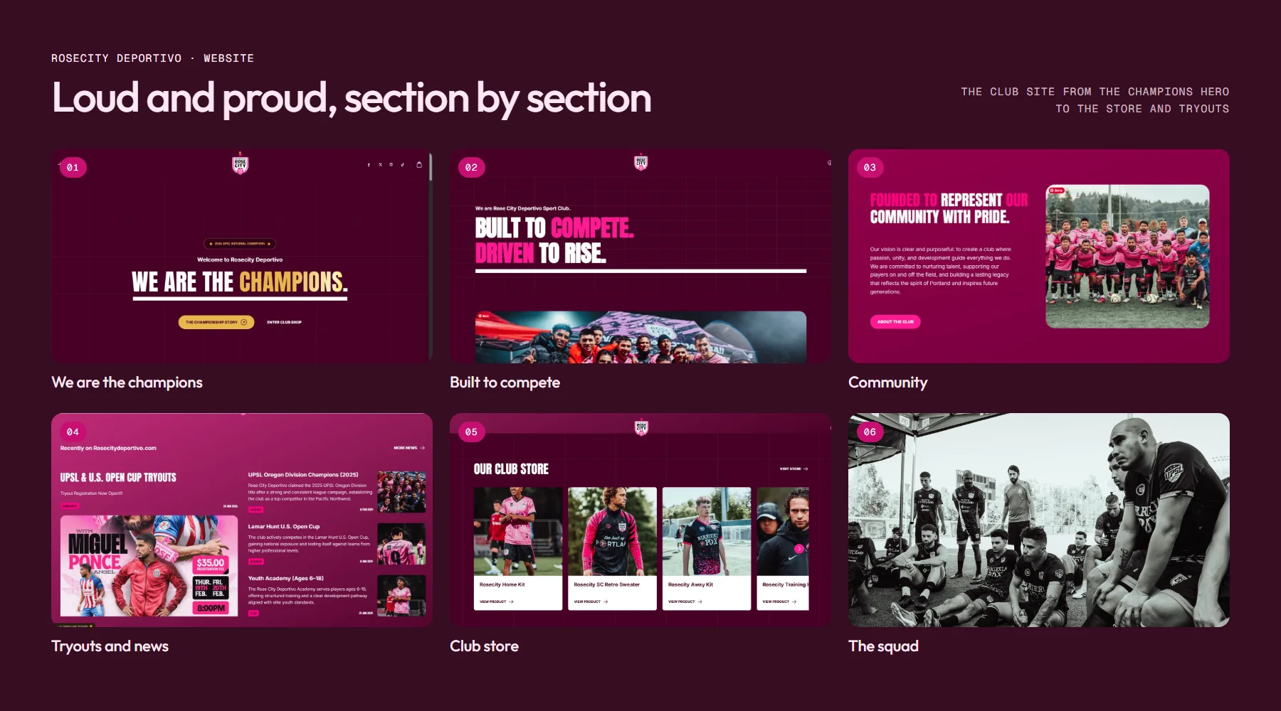Website board: six sections, from We are the champions to the squad