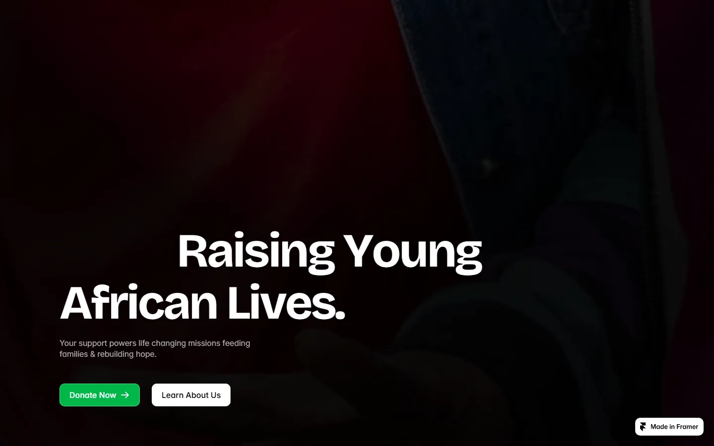 Closing banner: Raising Young African Lives